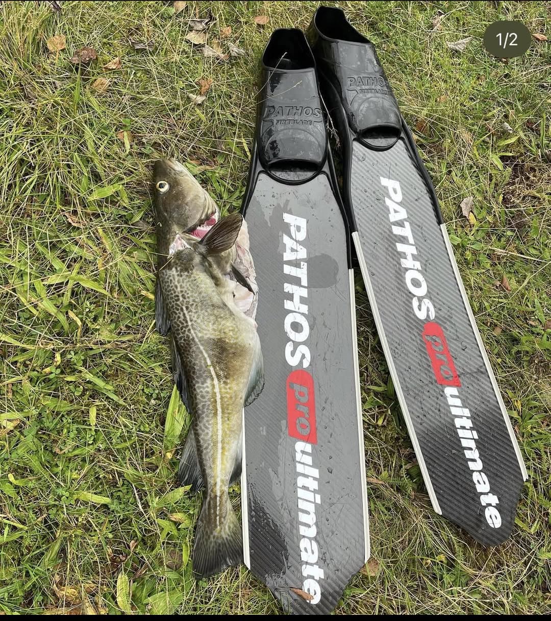 Lost swim fins