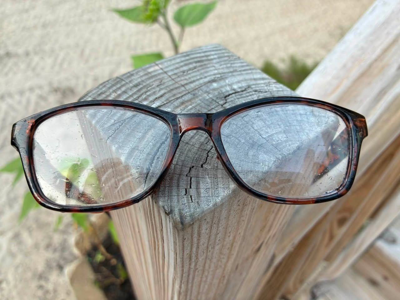 Found Glasses in Carova Beach