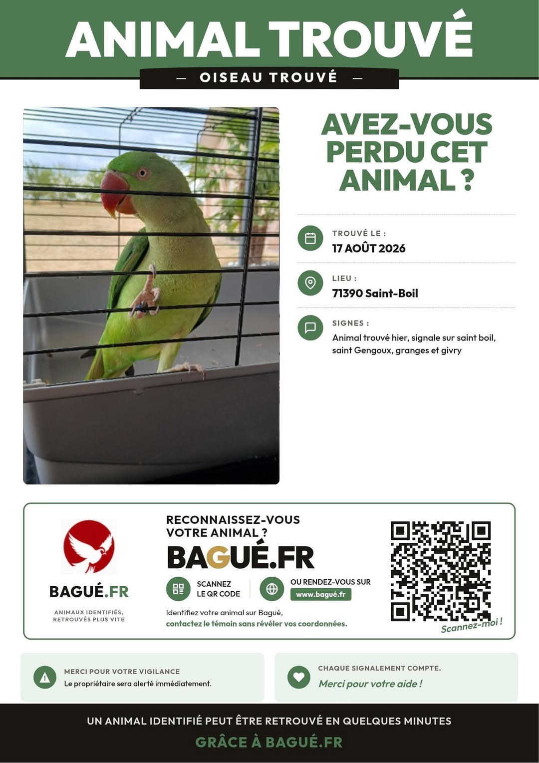 Found bird