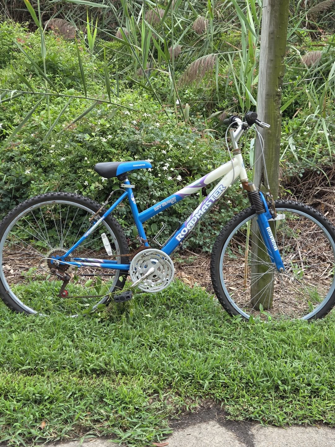 Found bike