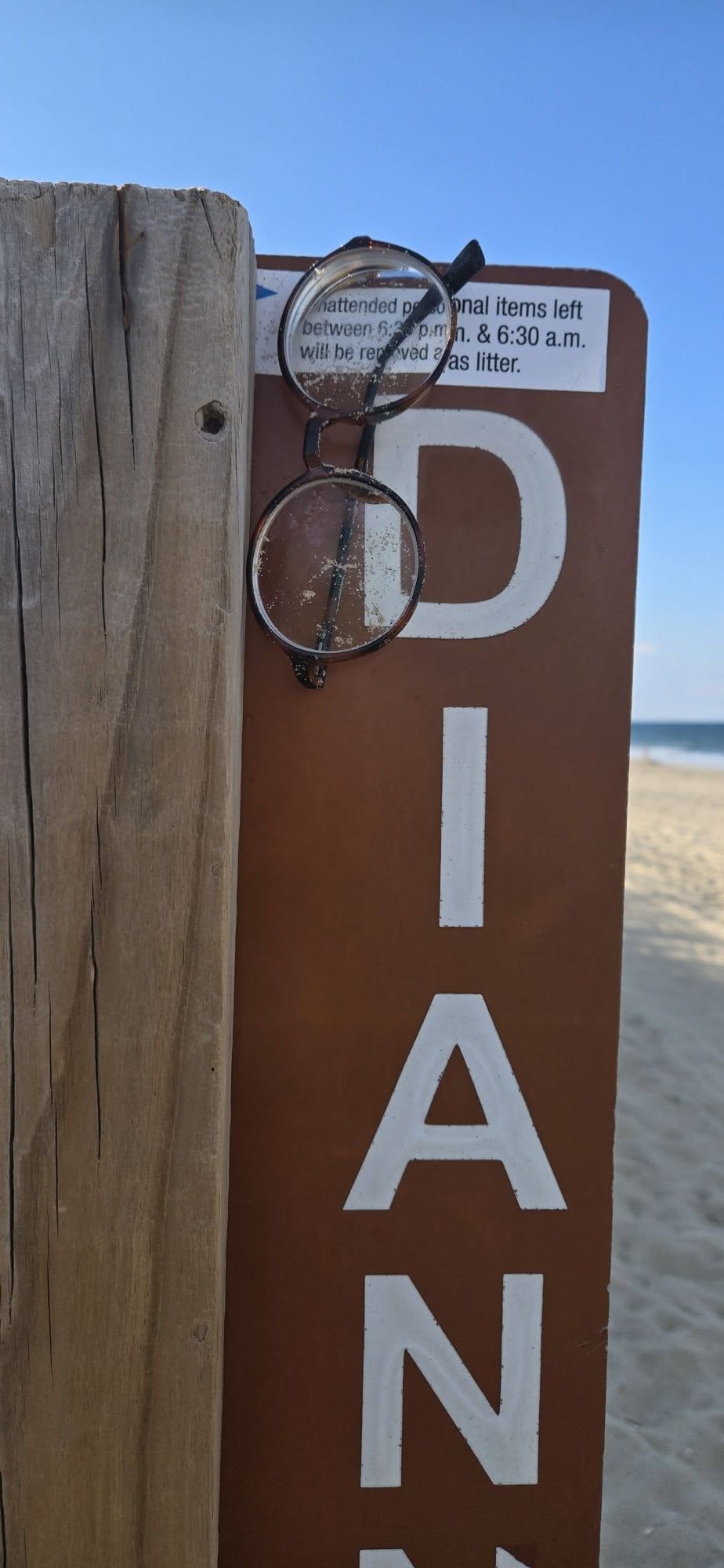 Found Glasses in Duck