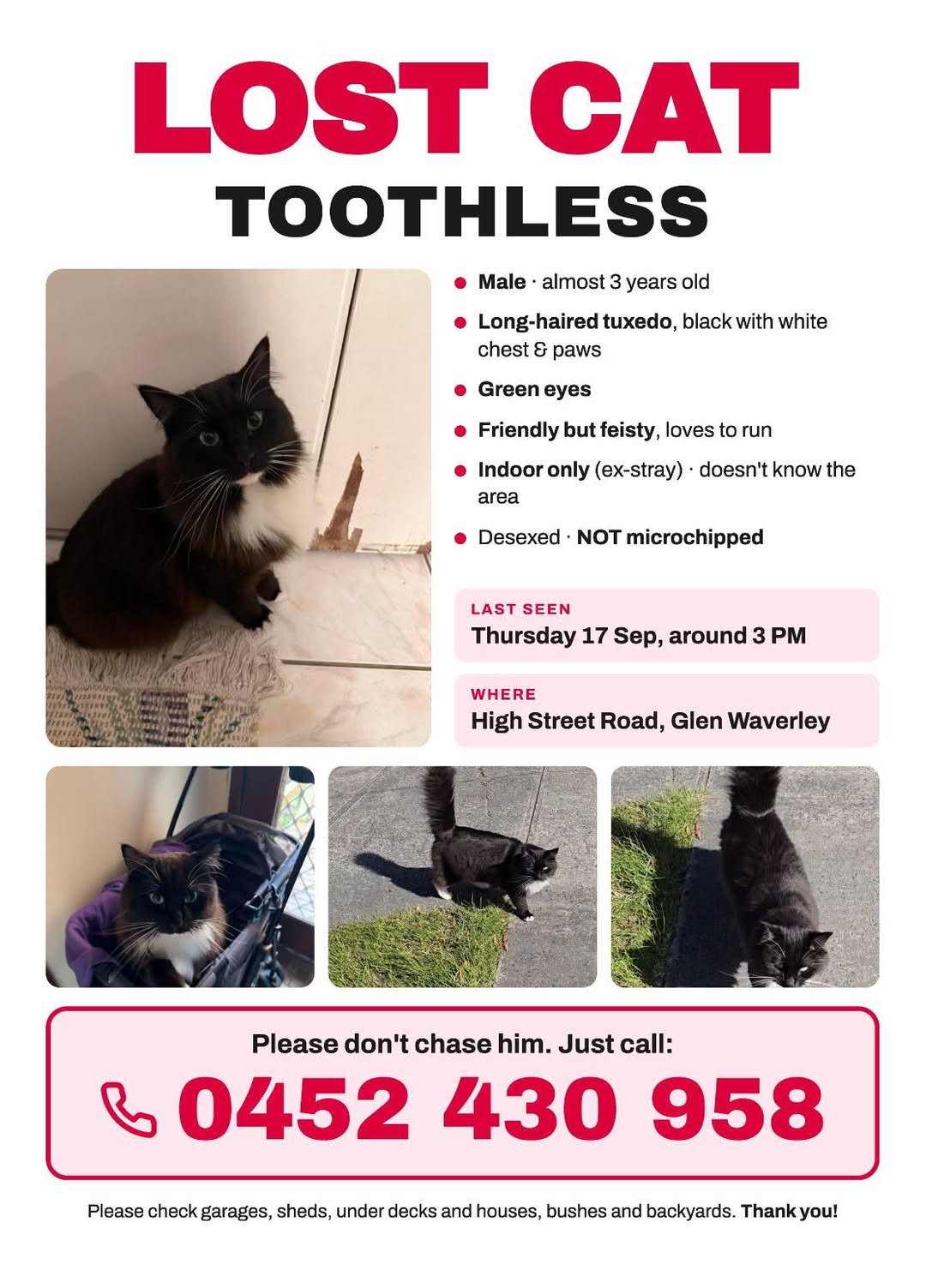 Lost Cat in Melbourne