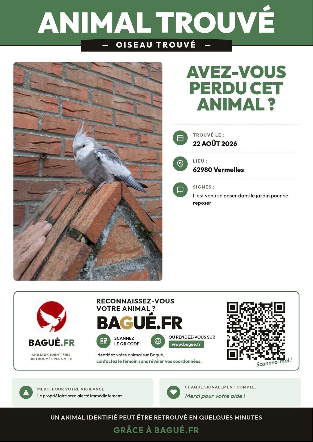 Found bird