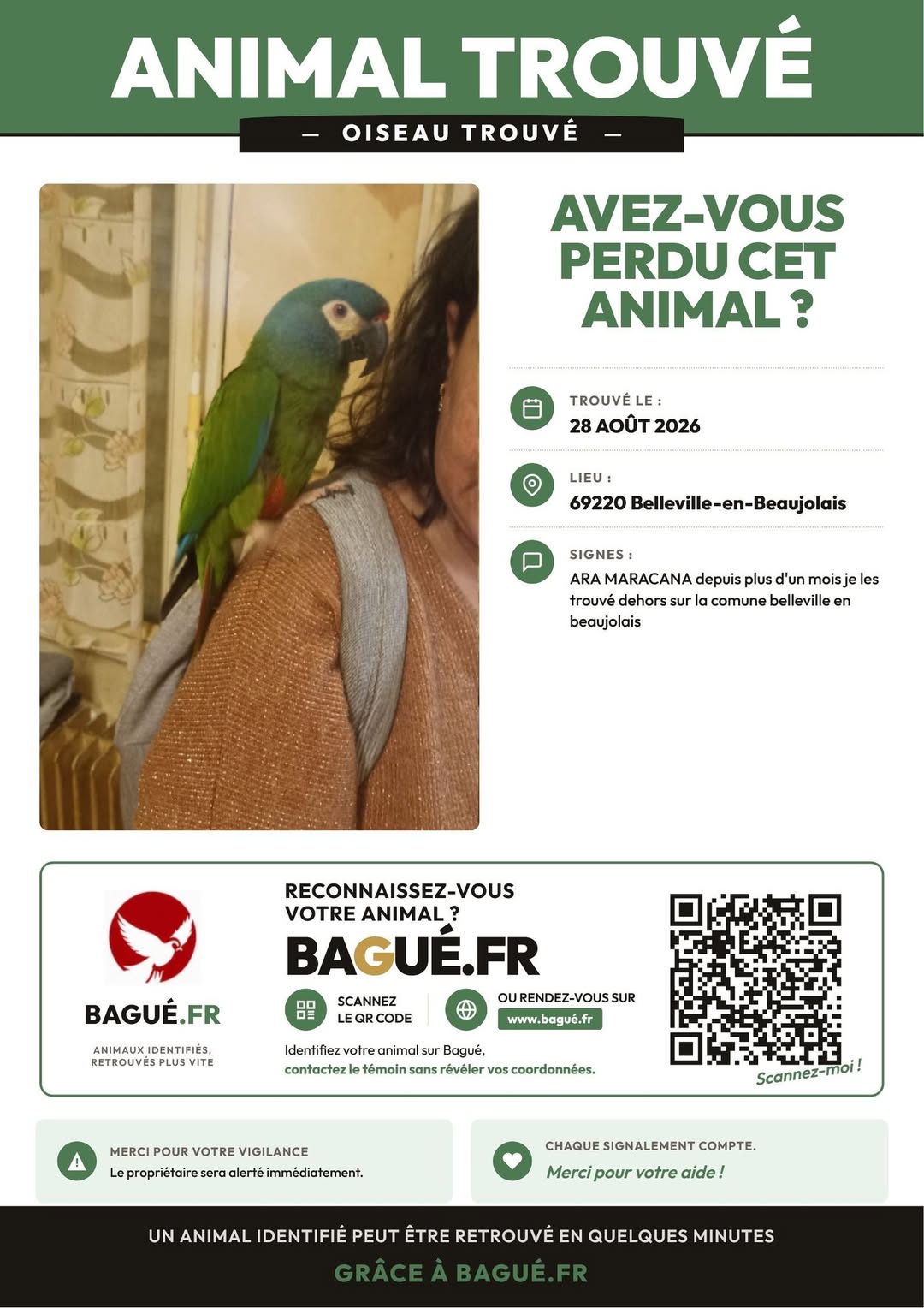 Found bird
