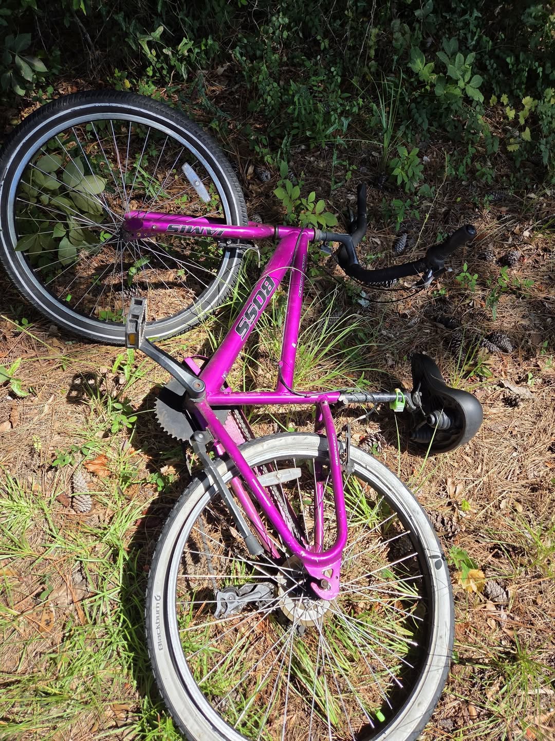 Found bike