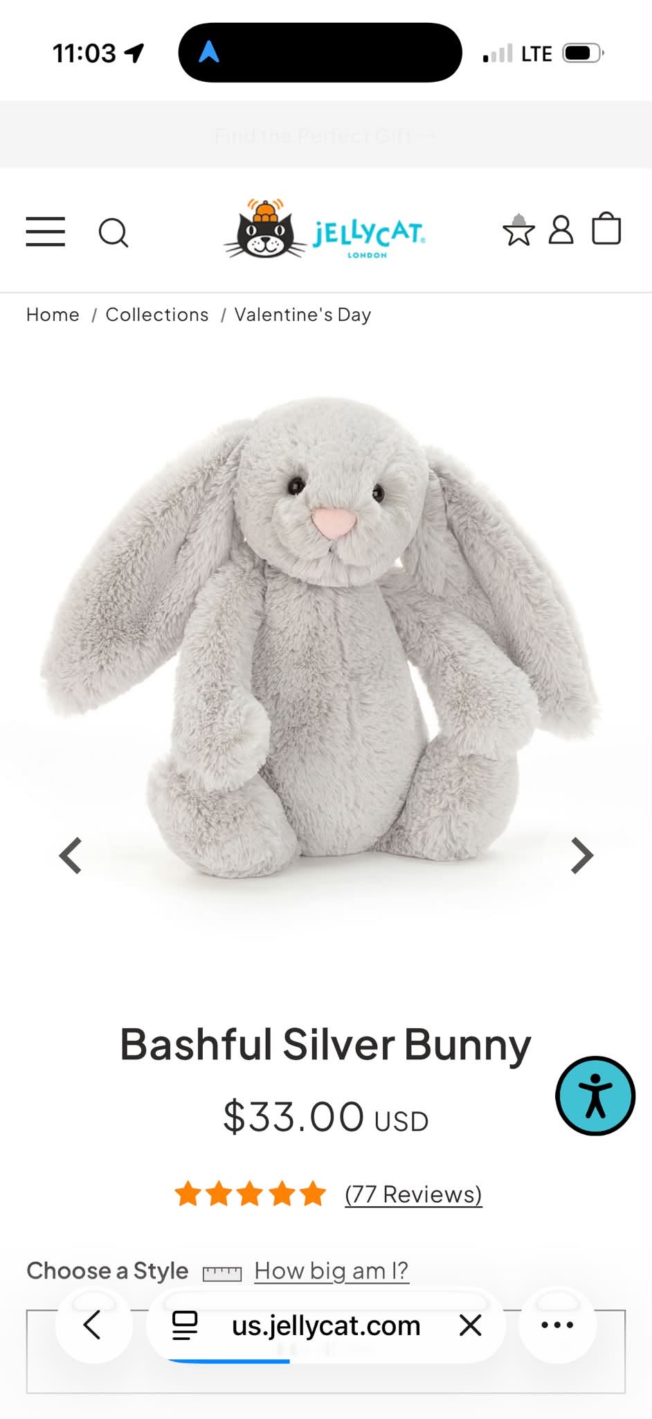Lost Toy in Outer Banks