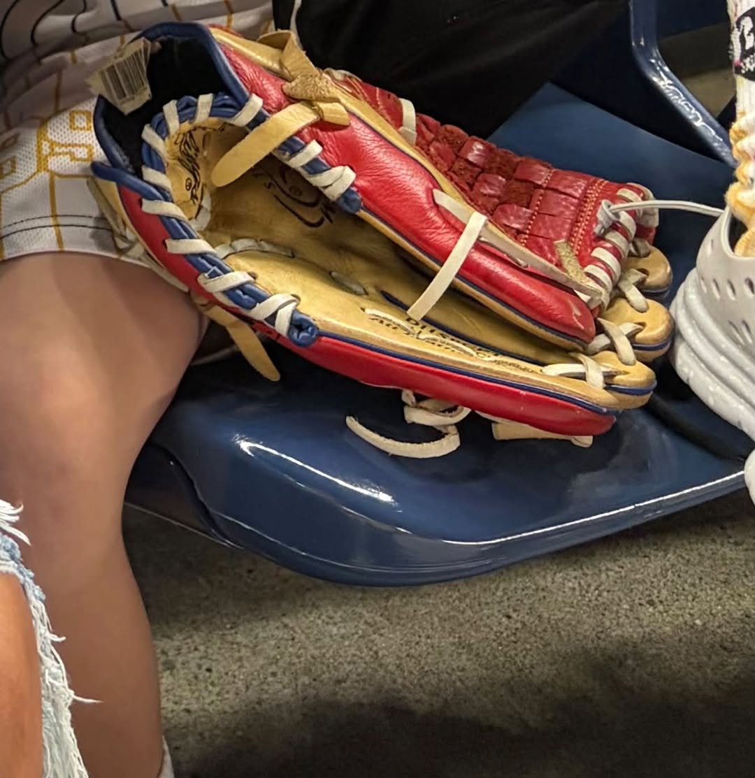 Lost Baseball Glove in New York
