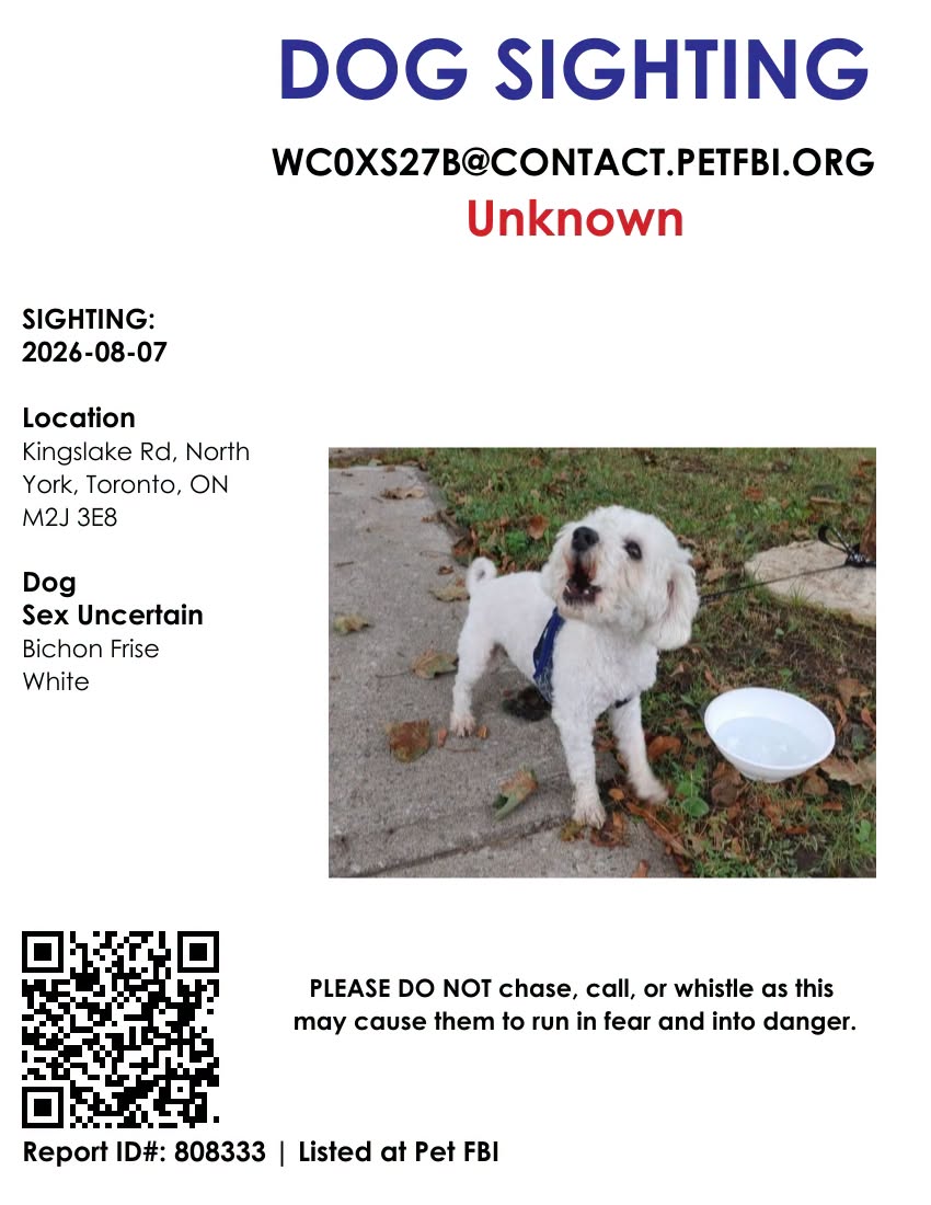 Found dog