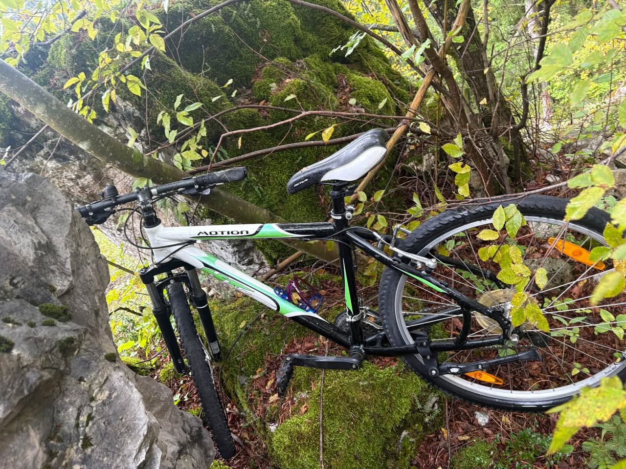 Found bike