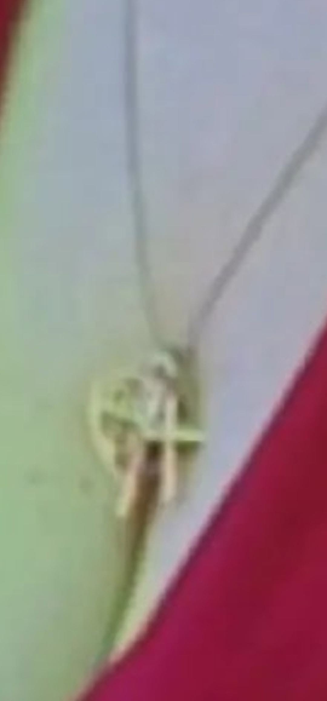 Lost Necklace in London