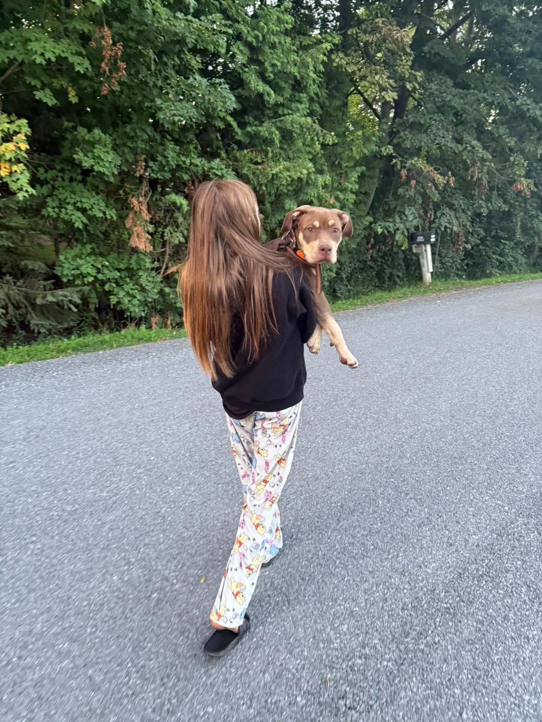 Found dog