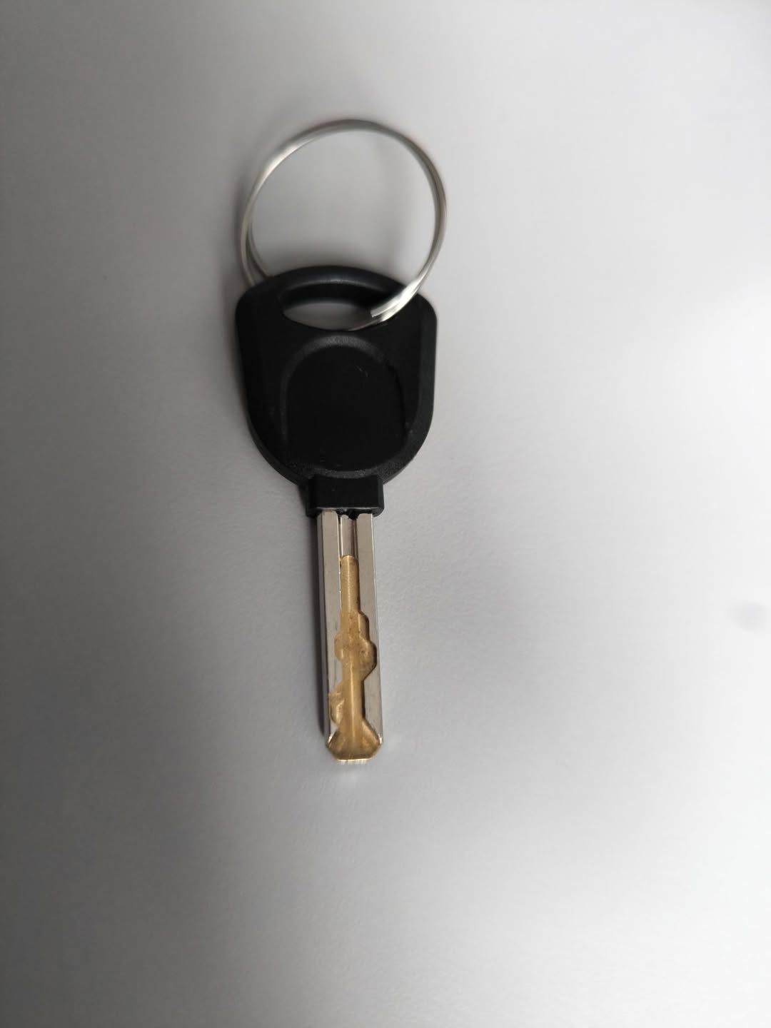 Found keys