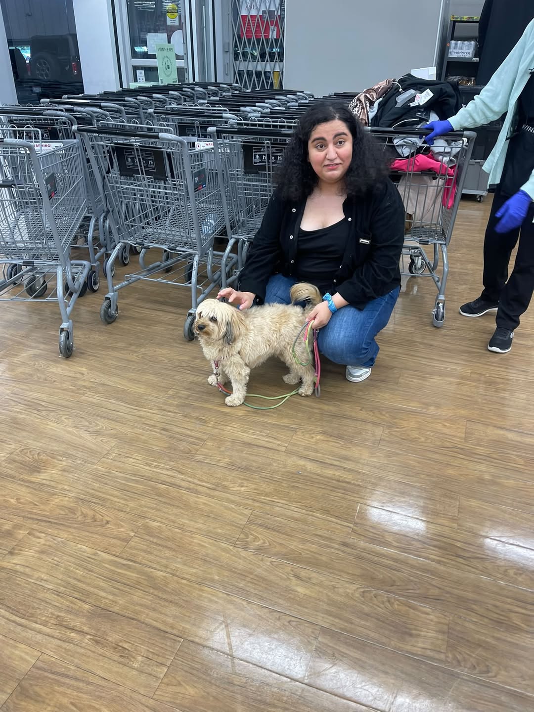 Found dog