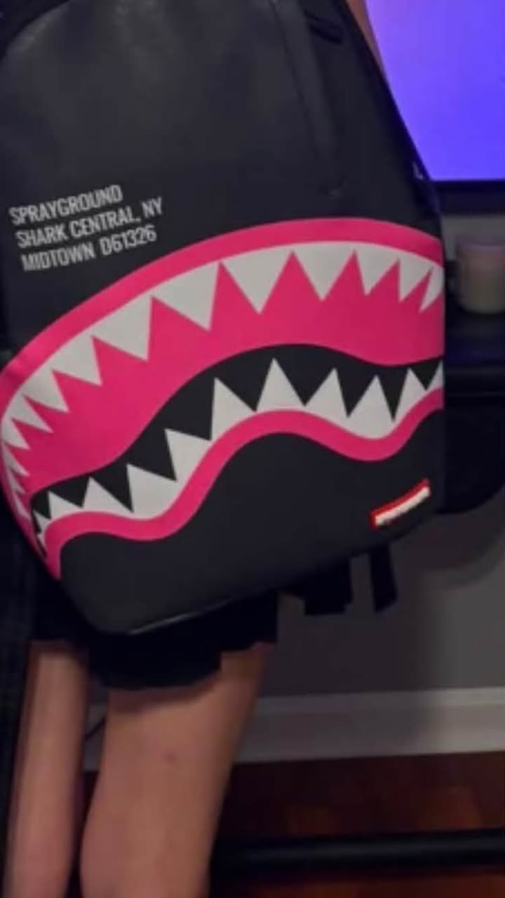 Lost Bag in Louisville