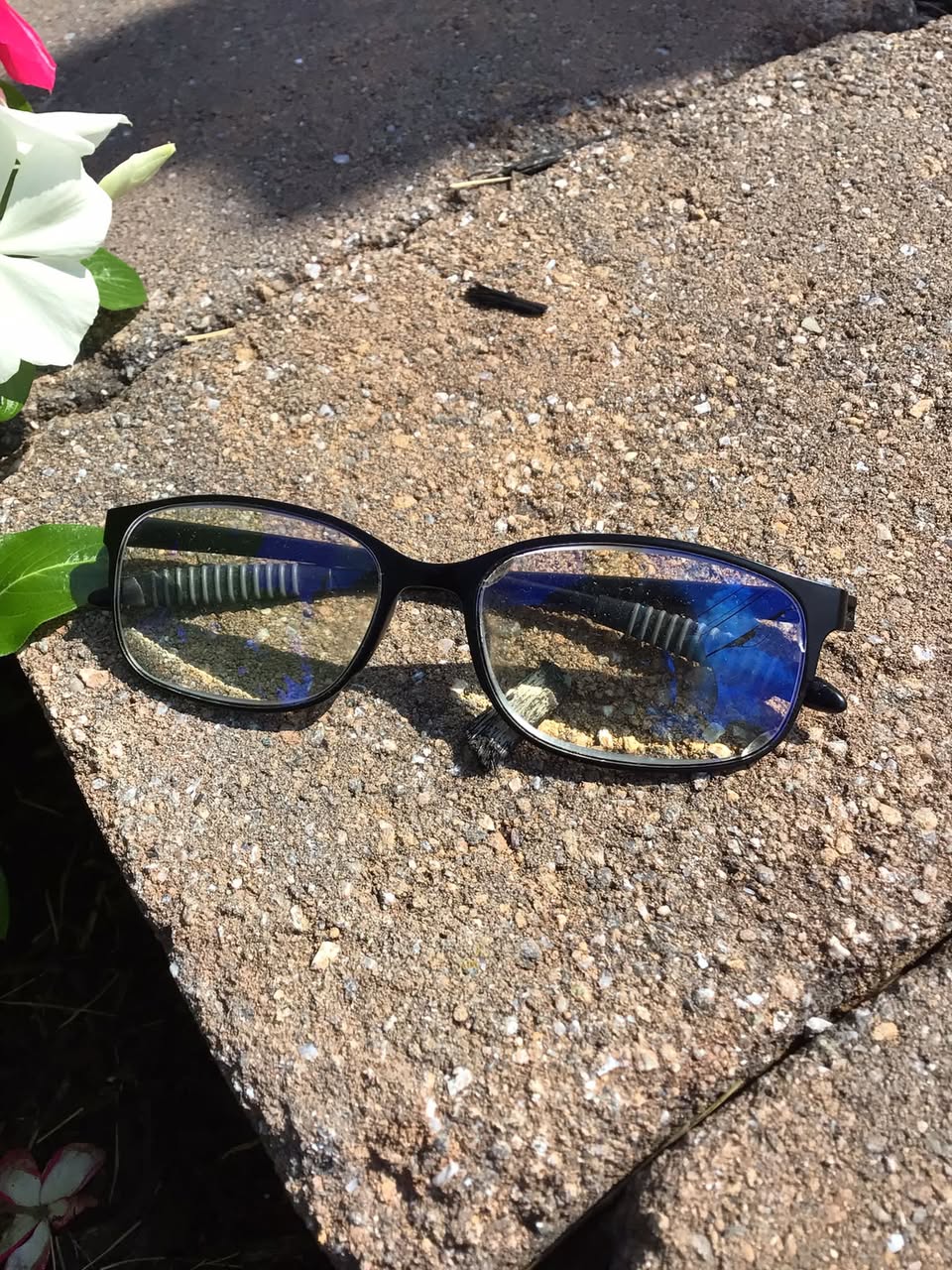 Found Glasses in Downingtown