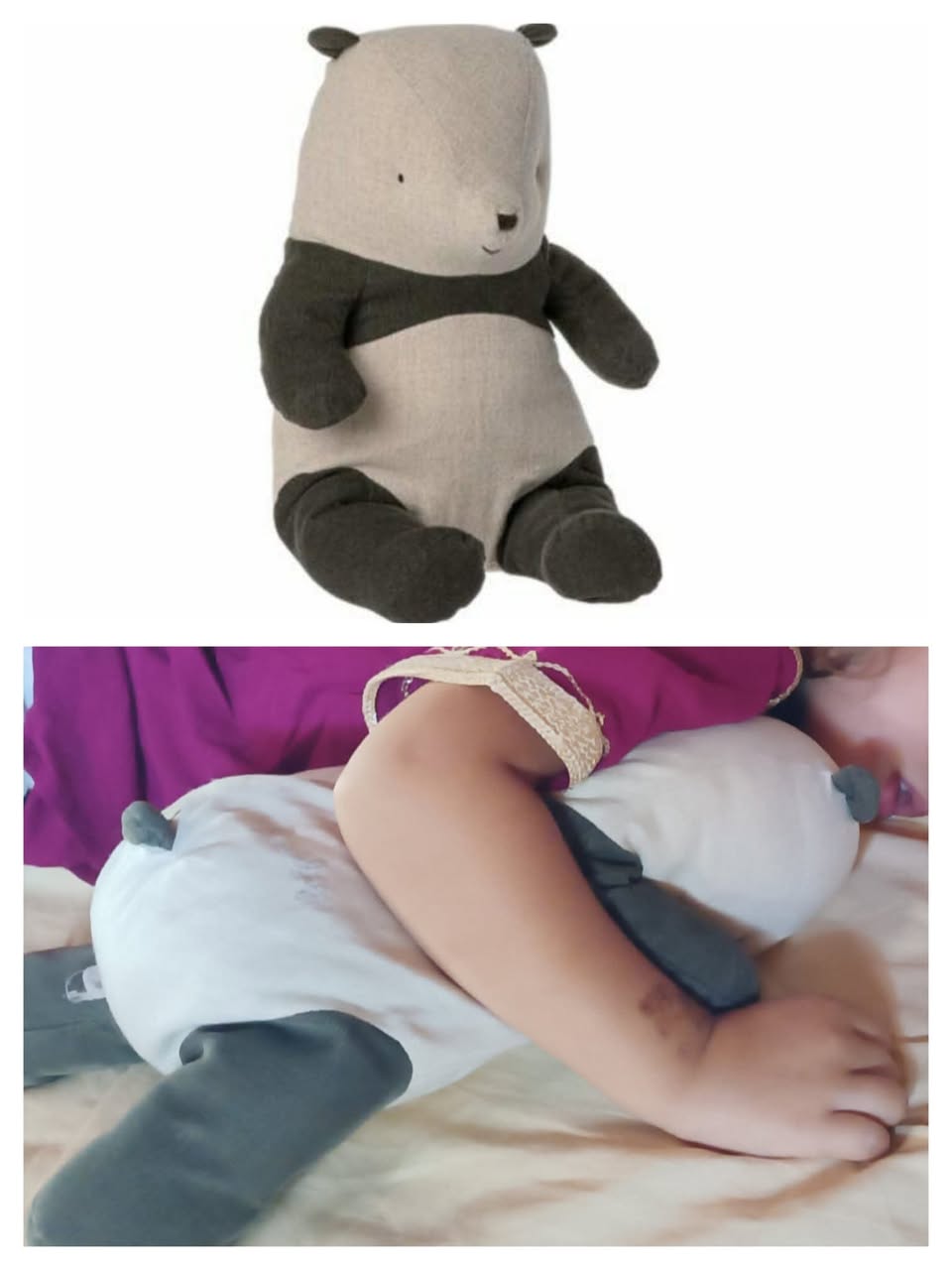 Lost Plush Toy in Bologna