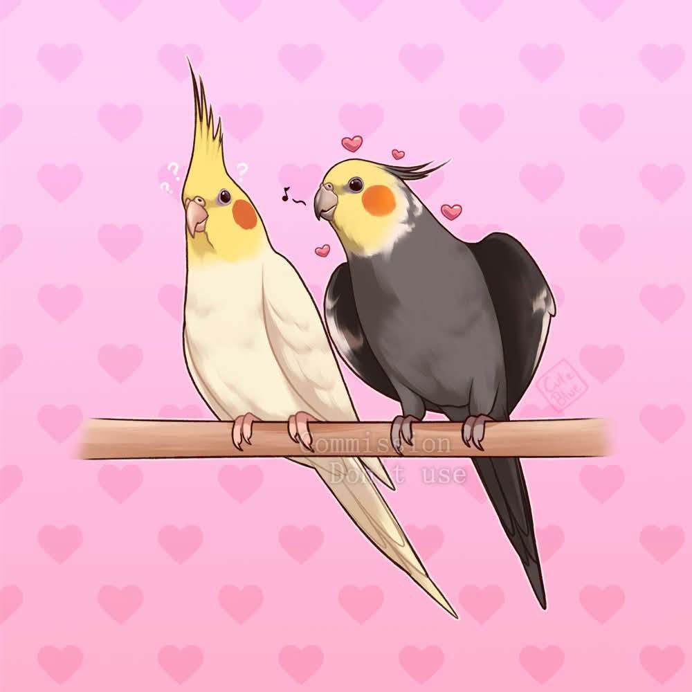 Found bird