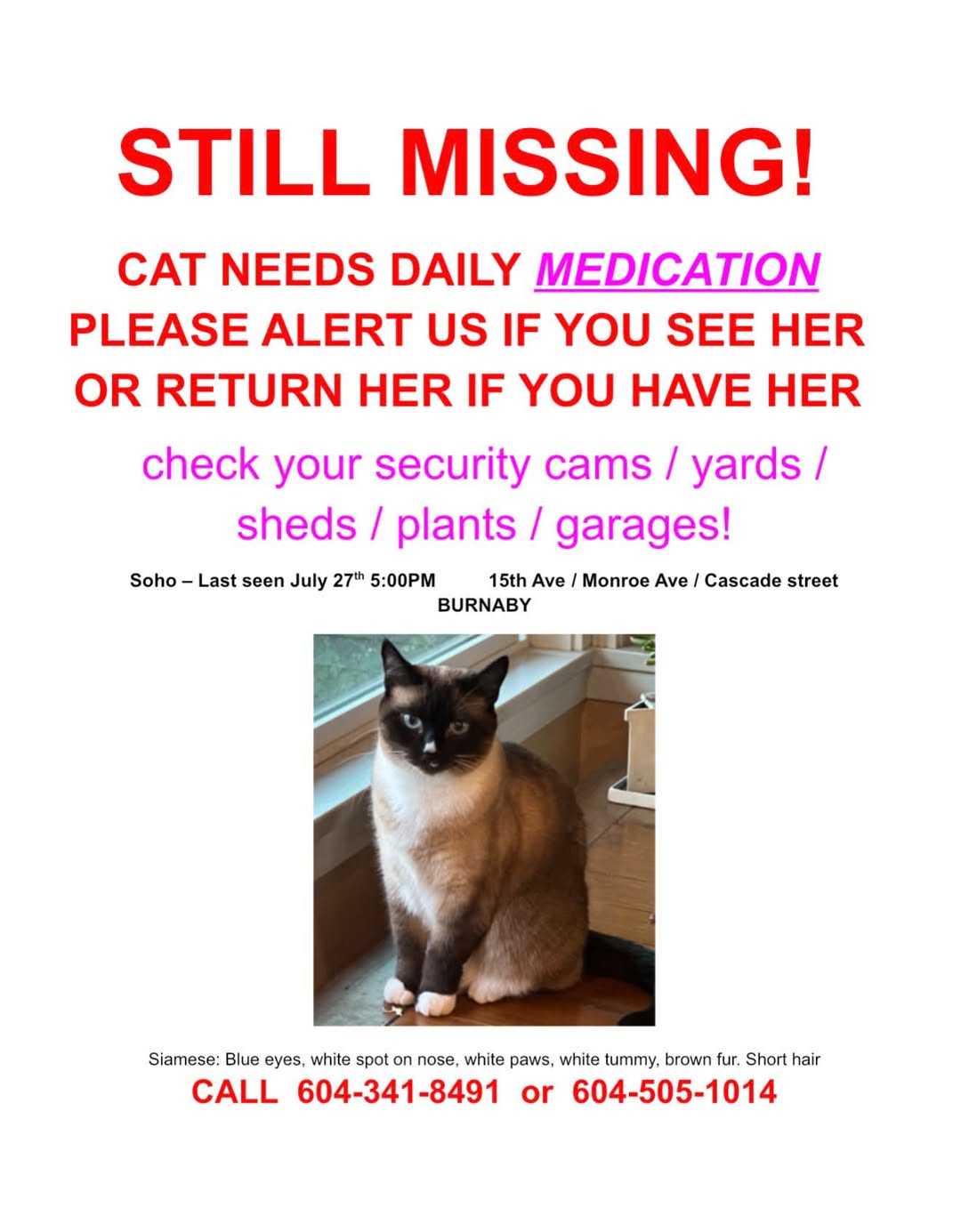 Lost Cat in Burnaby