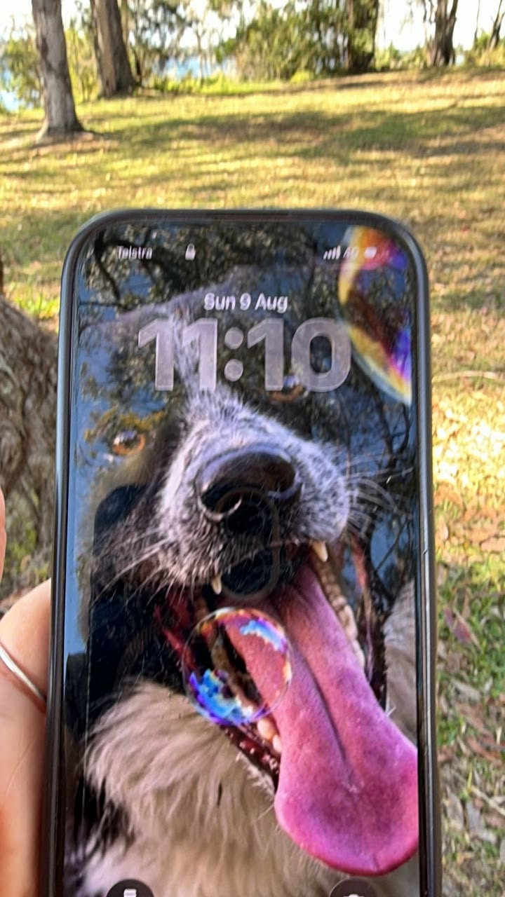 Found phone