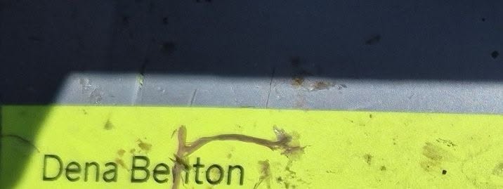 Found ID