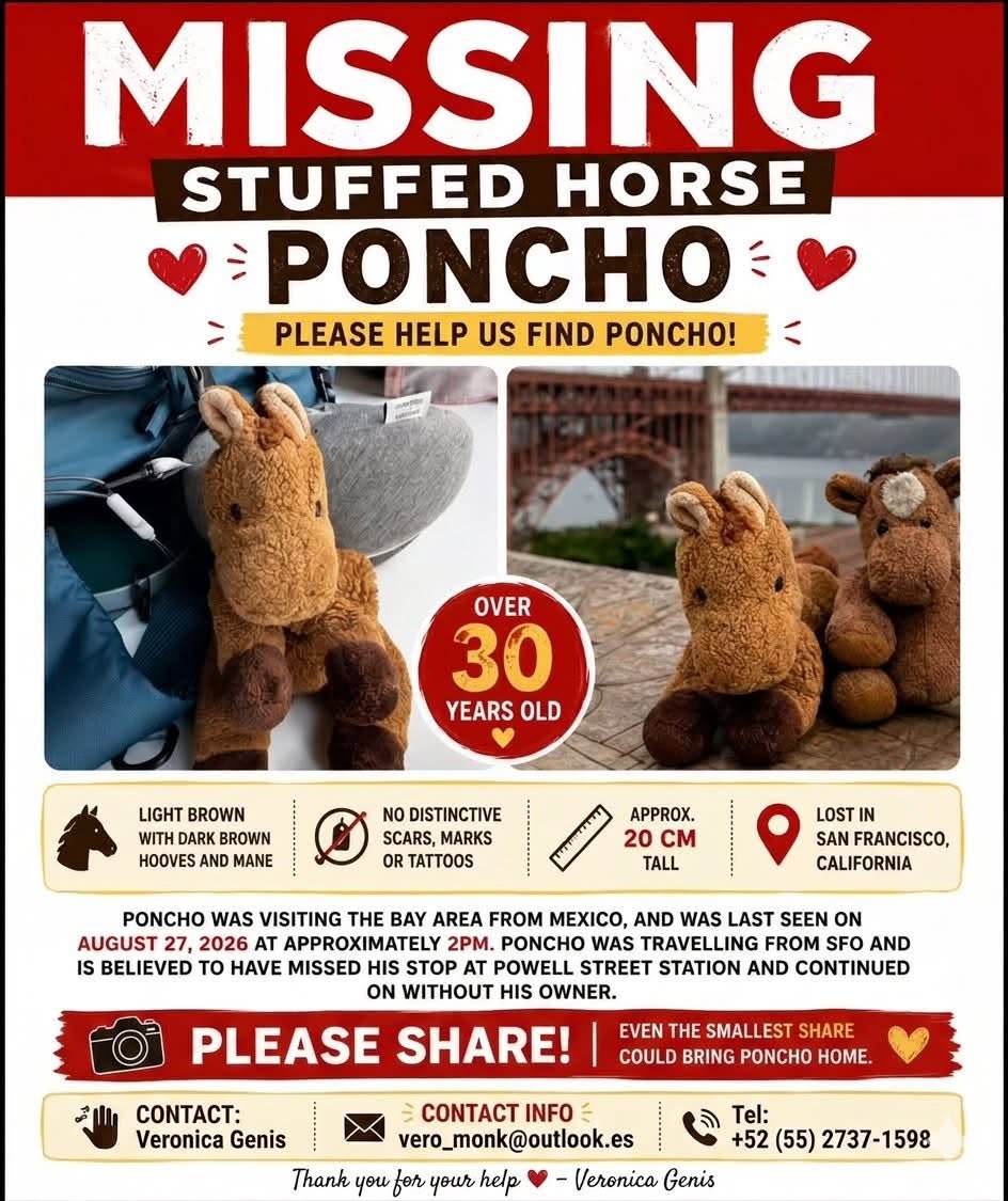Lost Toy in San Francisco