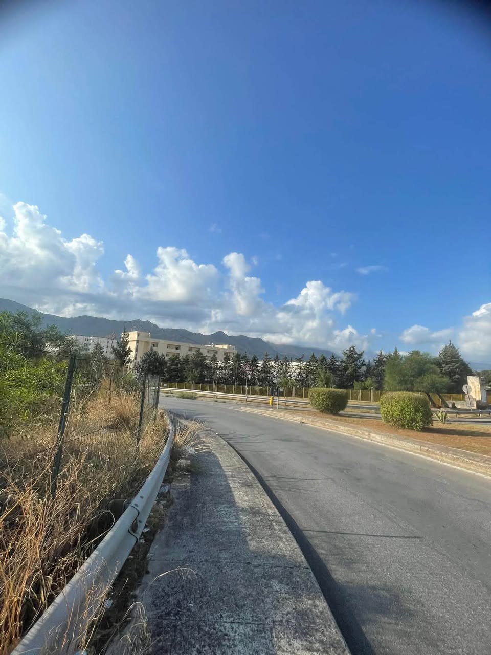 Lost Bag in Palermo