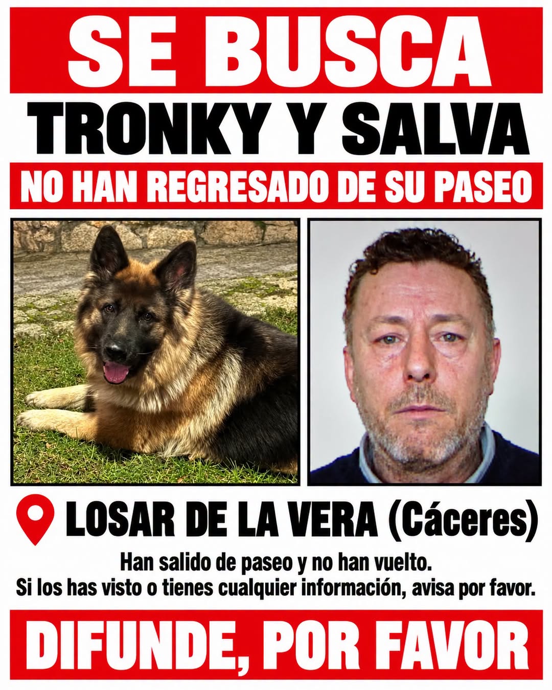 Lost Dog in CáCeres