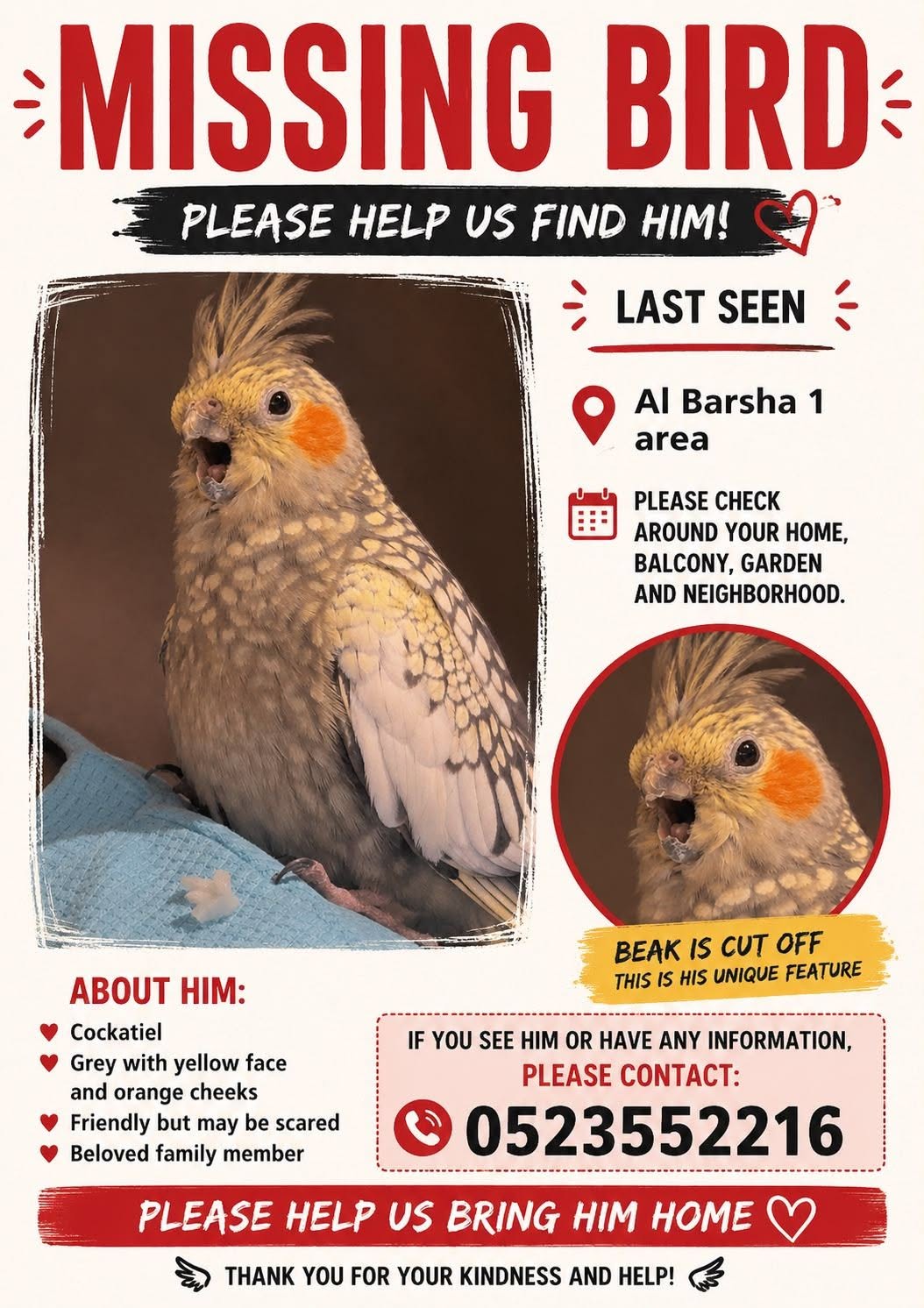 Lost bird