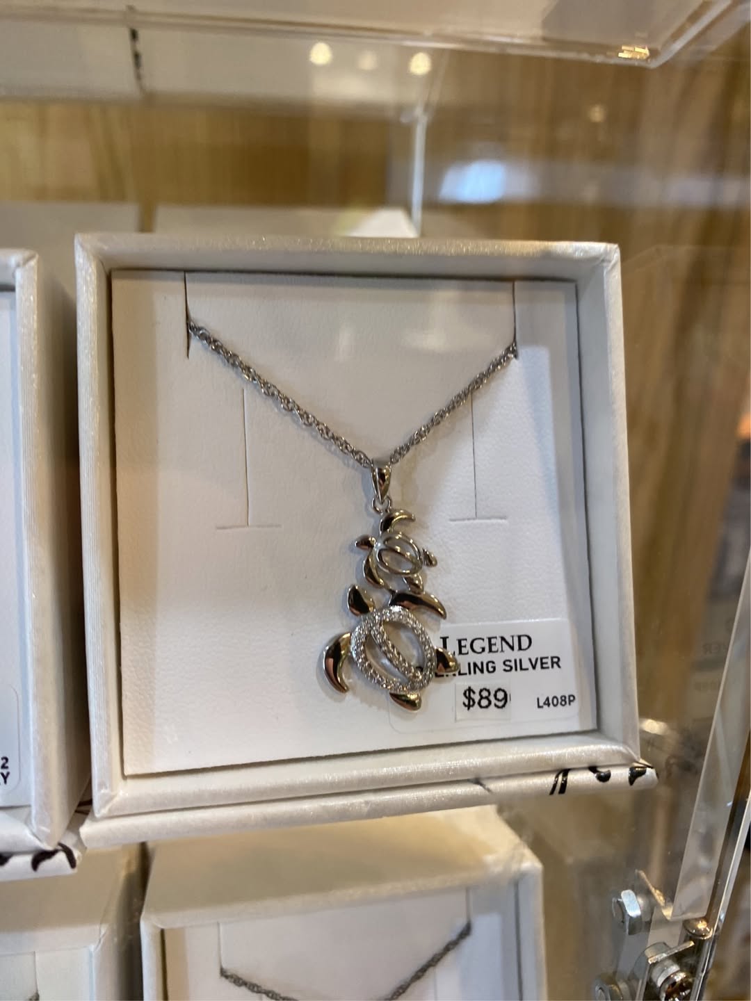 Lost Necklace in Lynn Valley Kiwanis Apartments