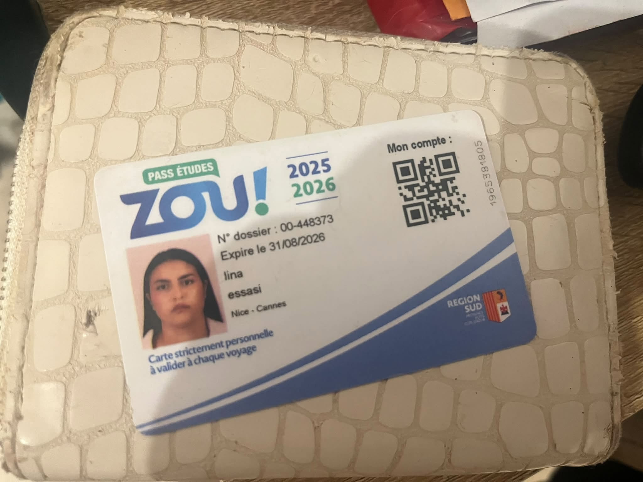 Lost Wallet in Nice - Cannes
