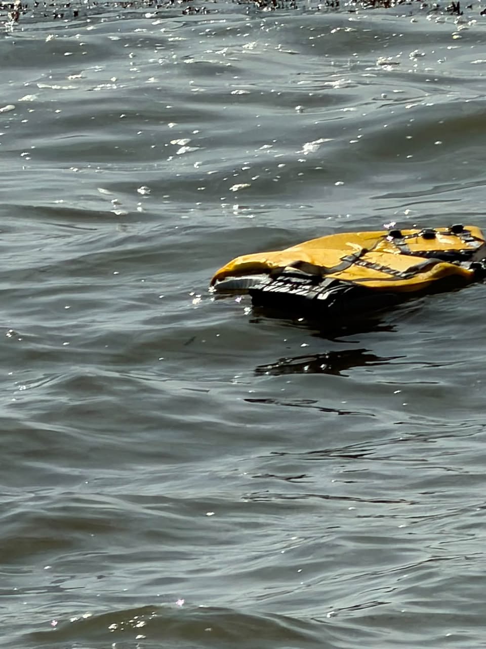 Found Life Jacket in Seawall