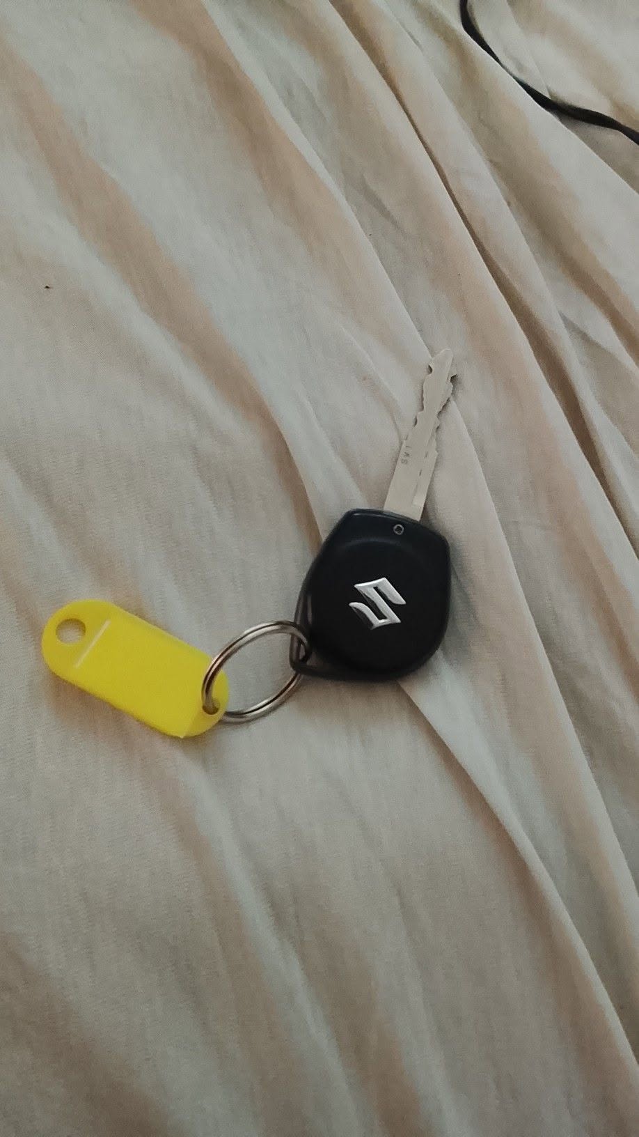 Found keys