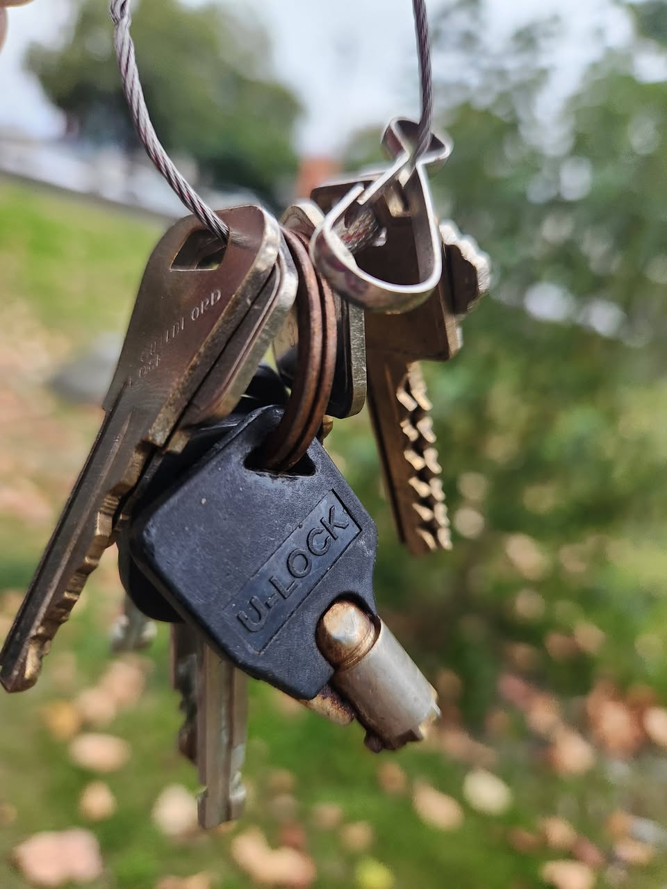 Found keys