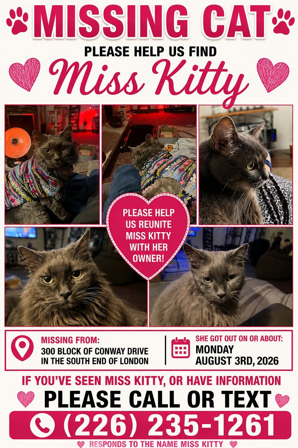 Lost cat