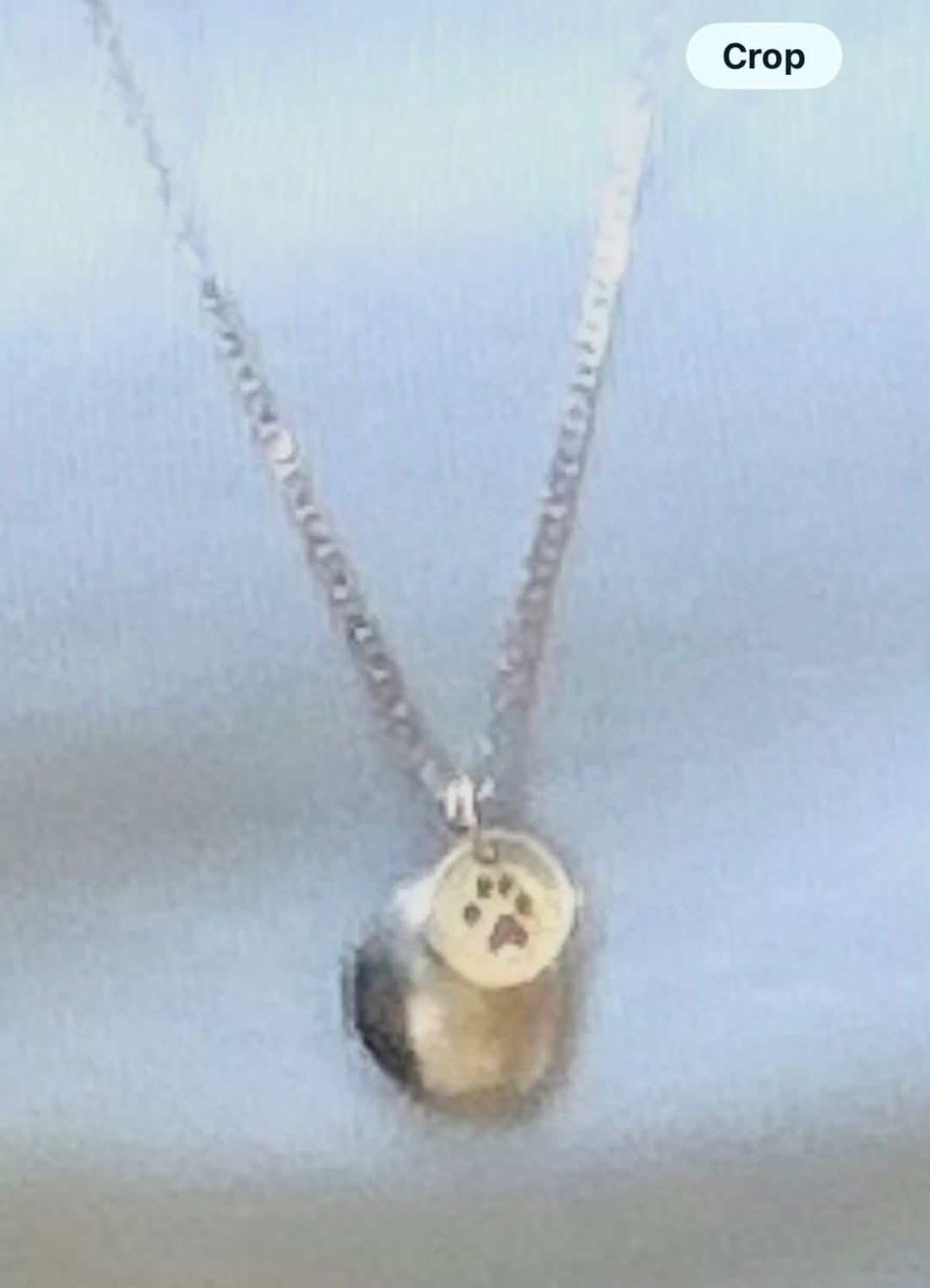 Lost necklace