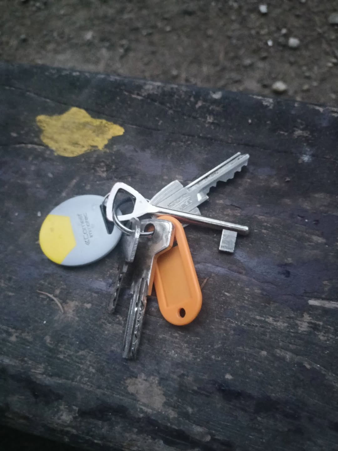 Found keys