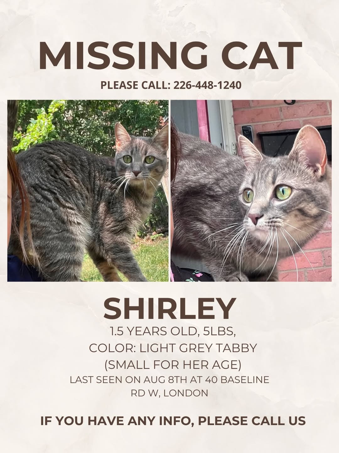 Lost Cat in London