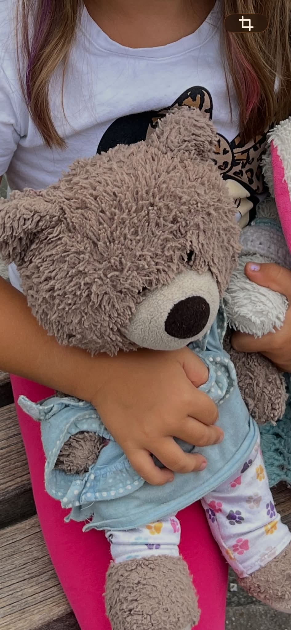 Lost Teddy Bear in Jesolo
