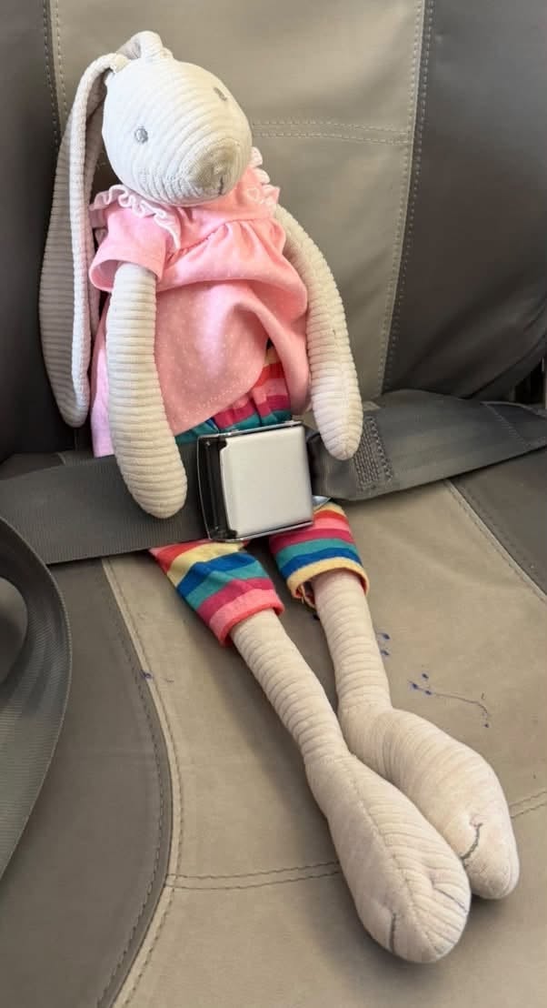 Lost Toy in Vienna