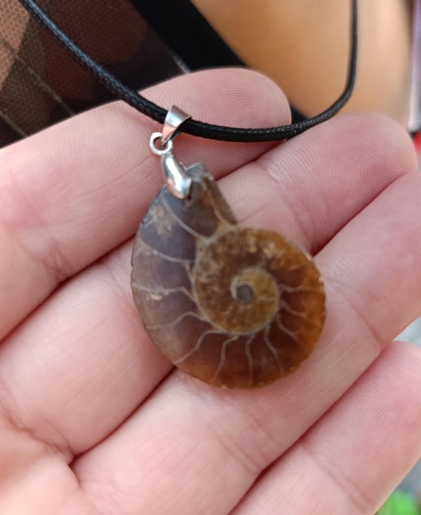 Lost Necklace in Motorikpark