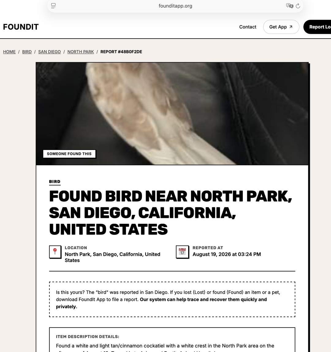 Found bird