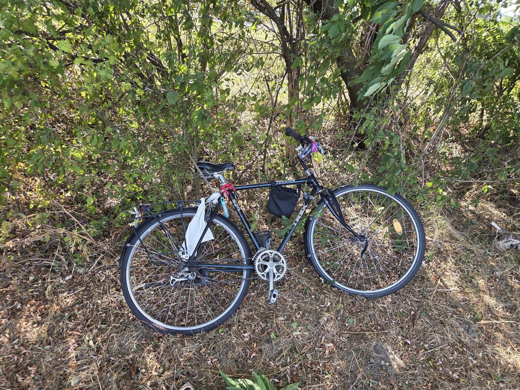 Found bike