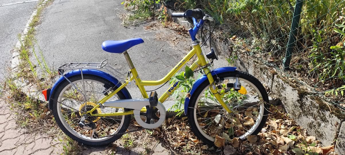 Found bike