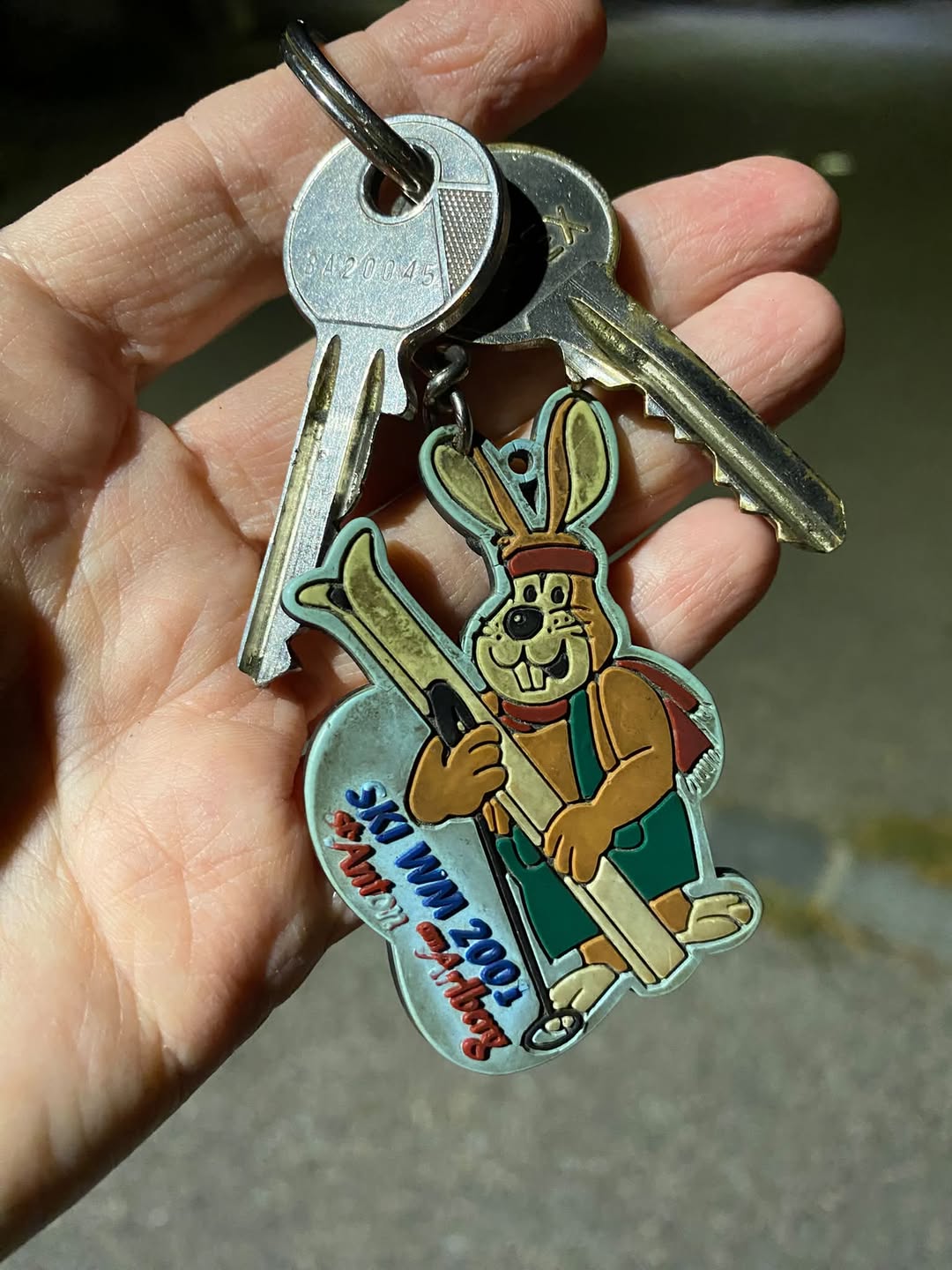 Found Keys in Langenlebarn