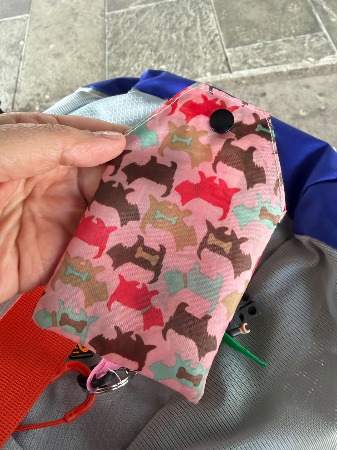 Lost bag