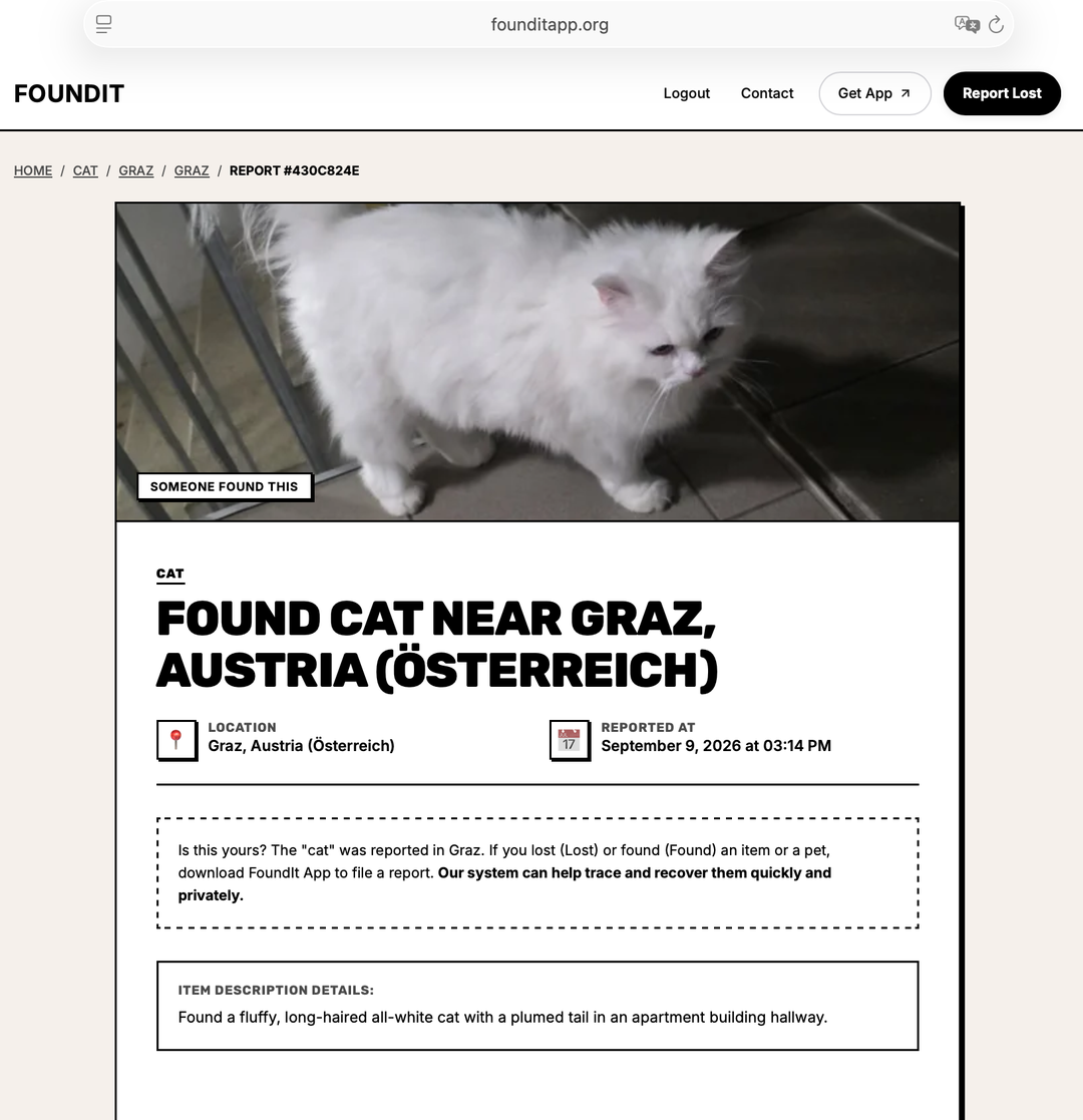Found Cat in Graz