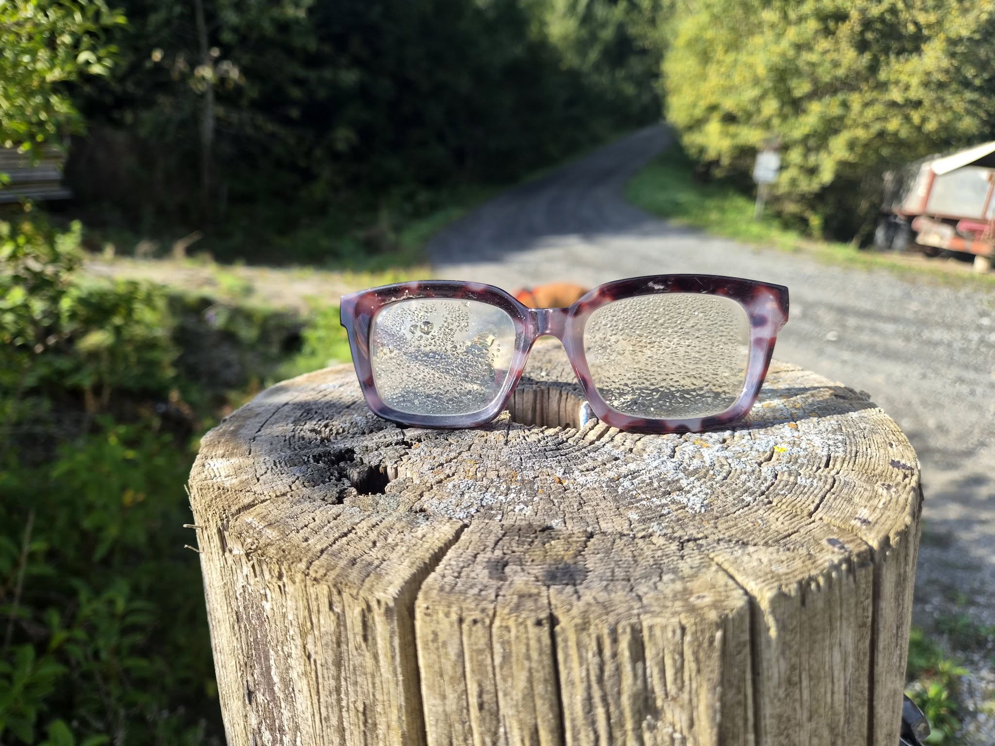 Found glasses
