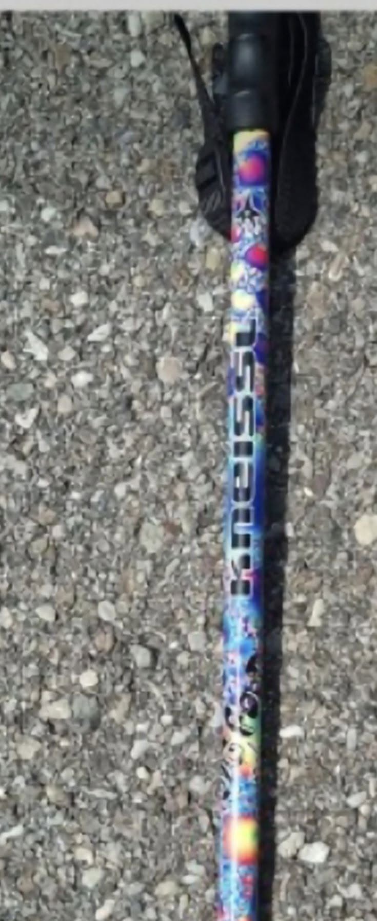 Lost Walking Stick in Lower Austria
