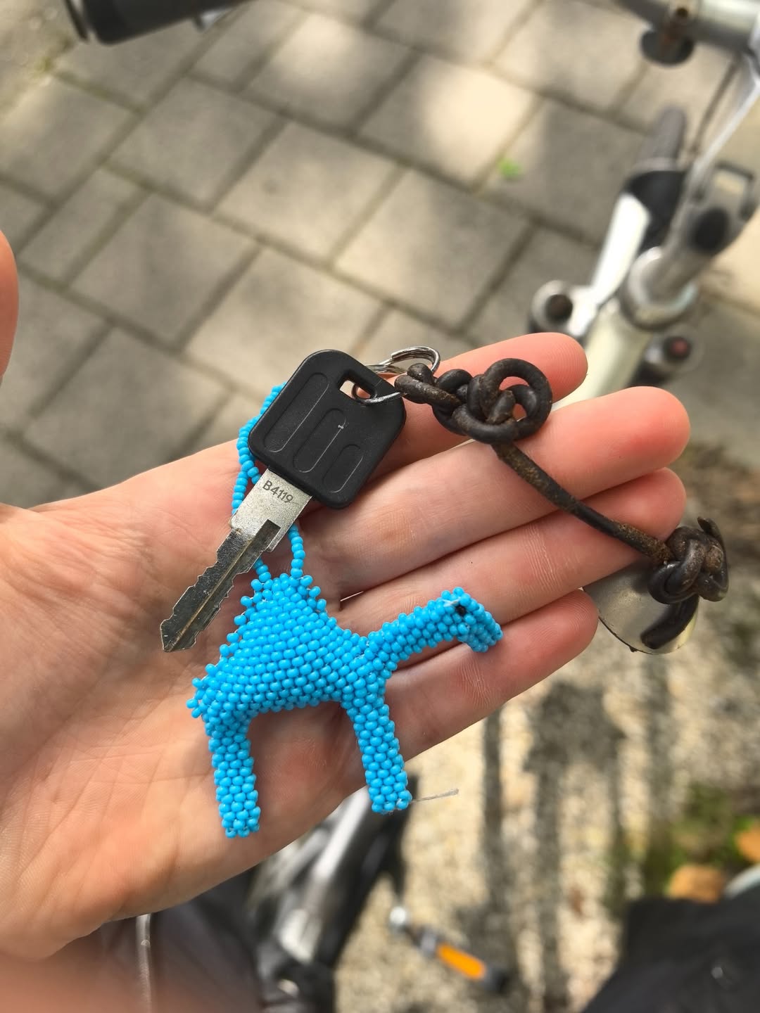 Found Keys in Amsterdam