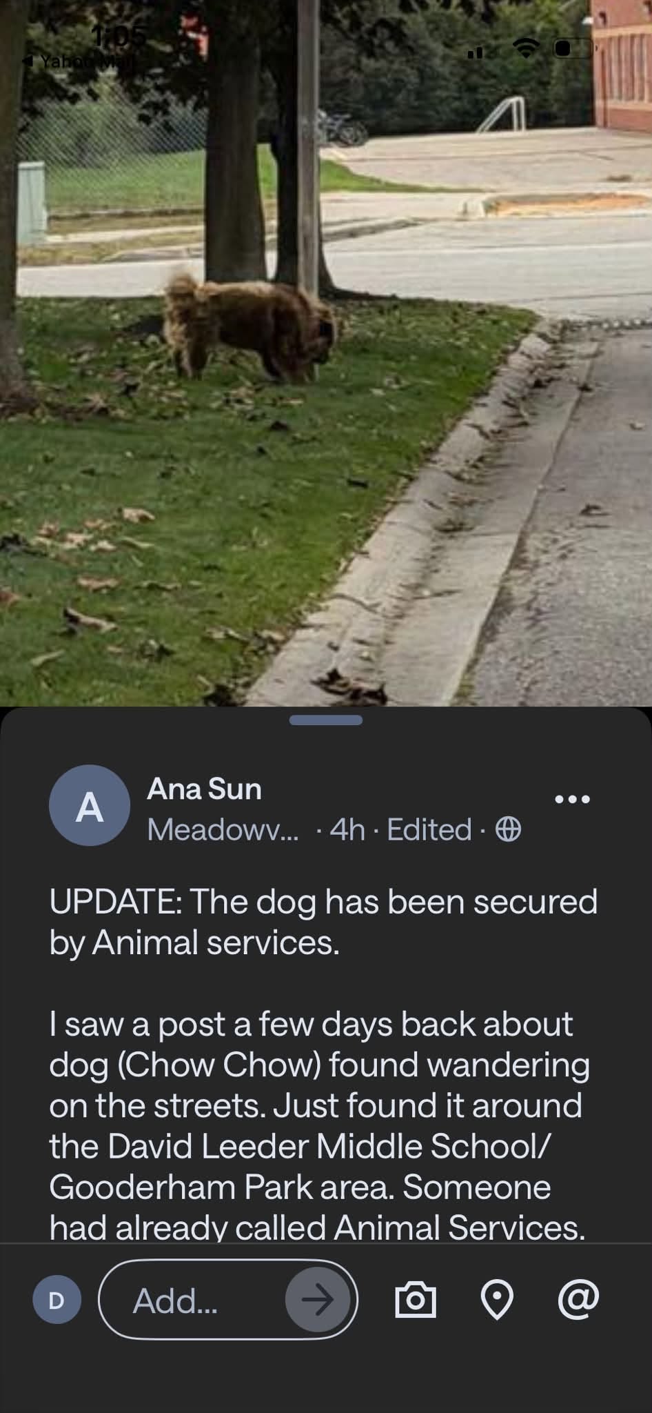 Found dog